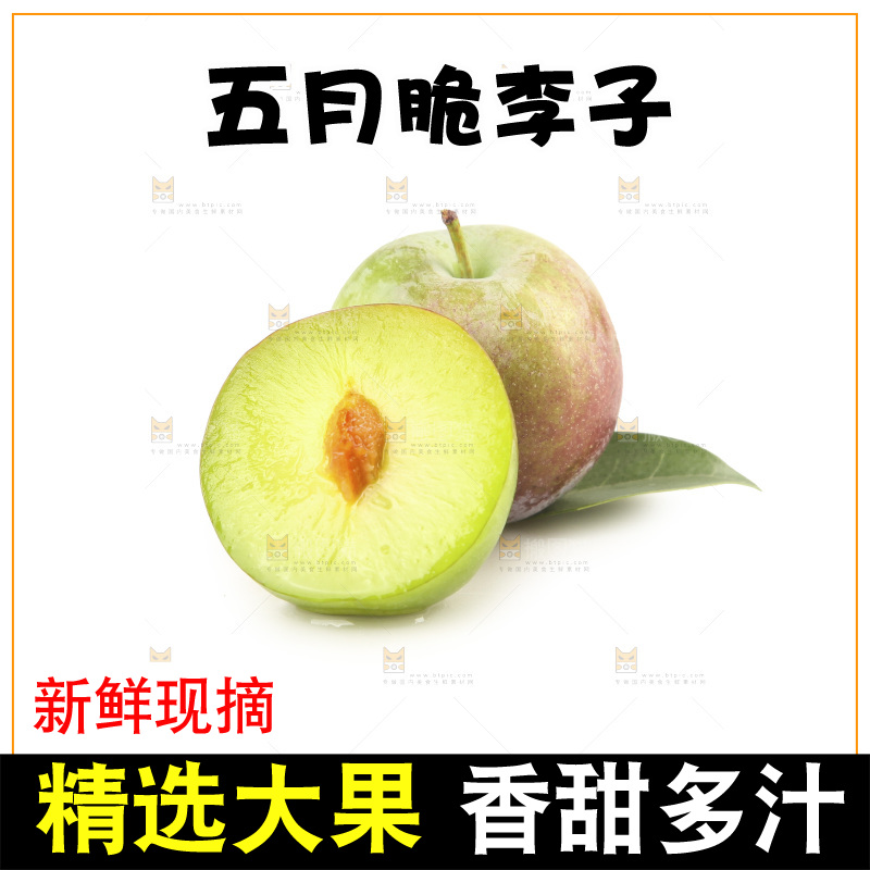 白底上的五月脆