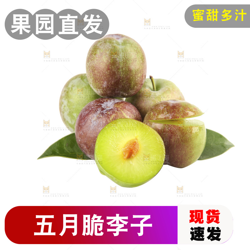 白底上的五月脆