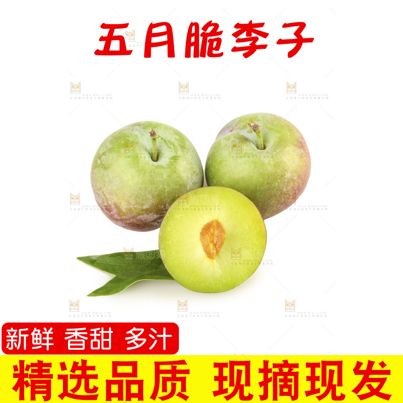 白底上的五月脆