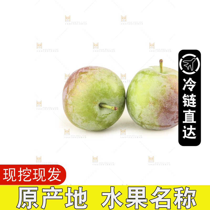 白底上的五月脆