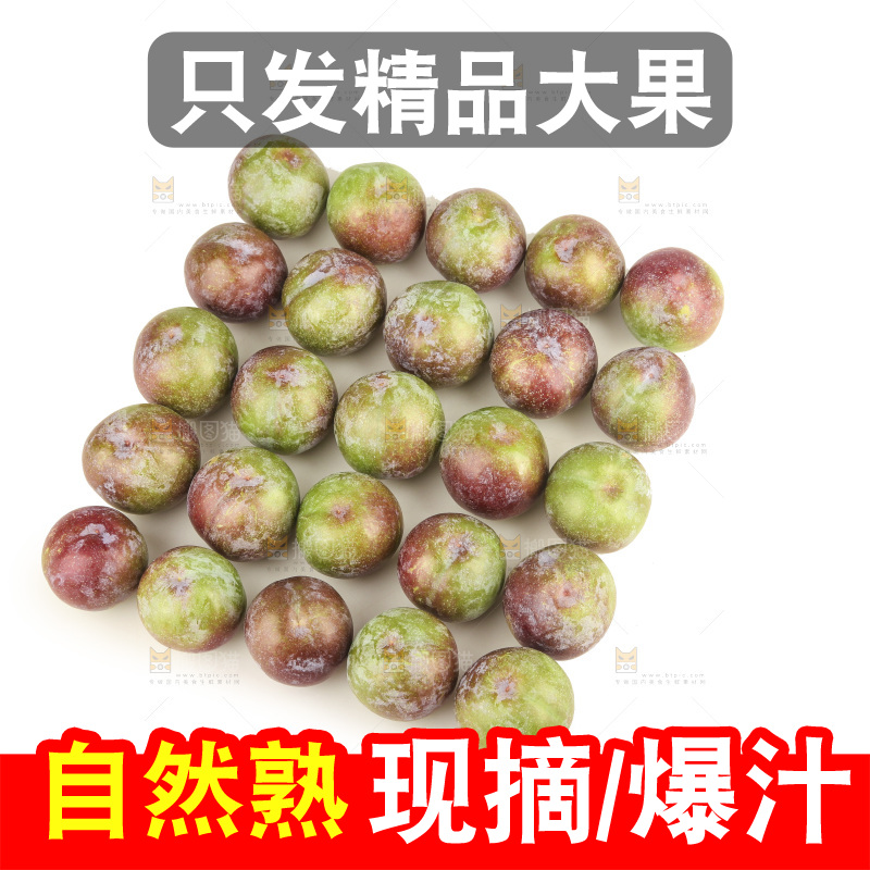 白底上的五月脆