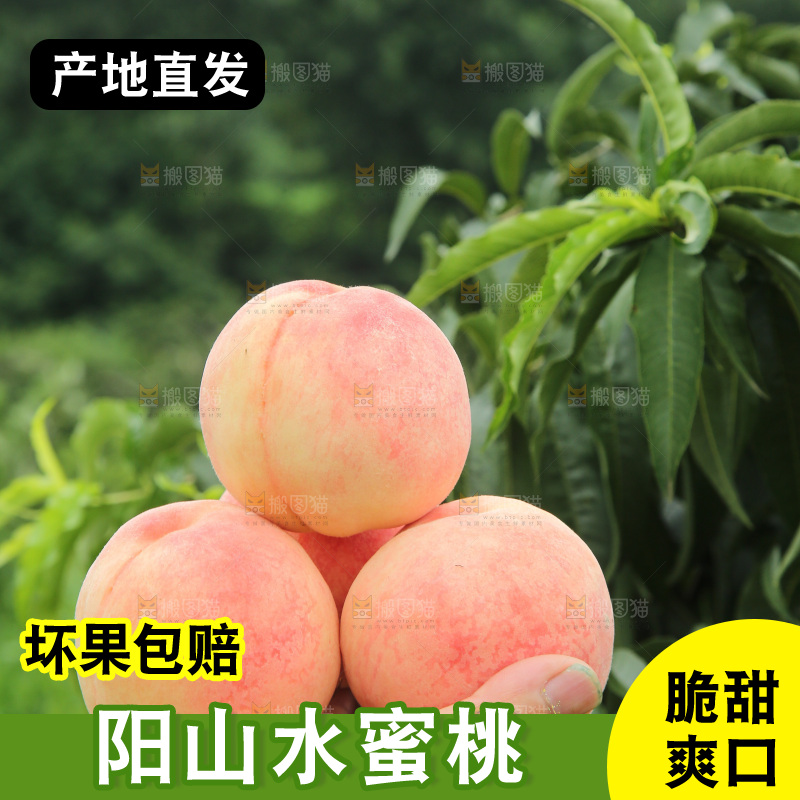 手里拿着阳山水蜜桃