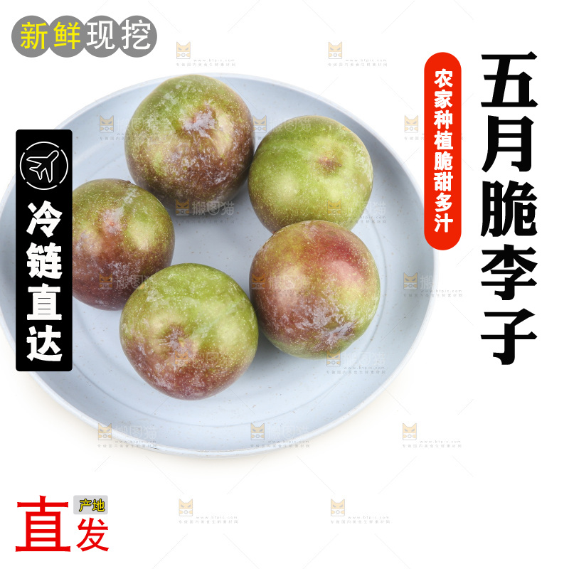 白底上的五月脆