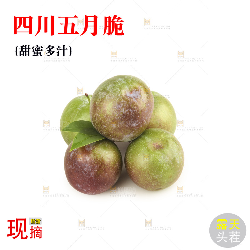 白底上的五月脆