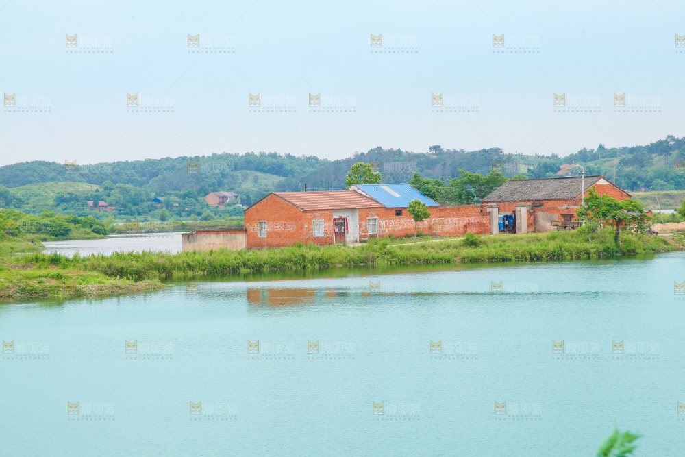 户外风景河水