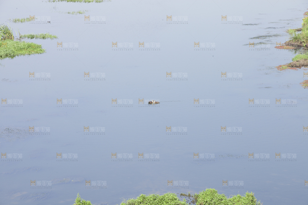 清澈风底的湖水