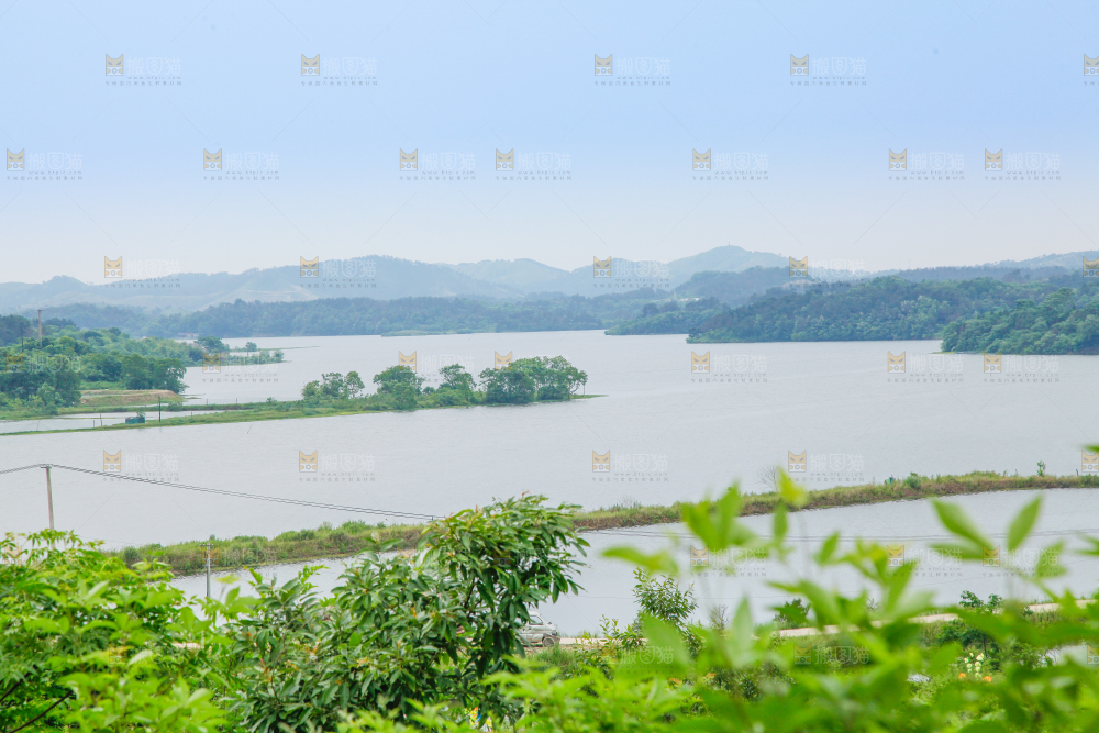 户外风景河水