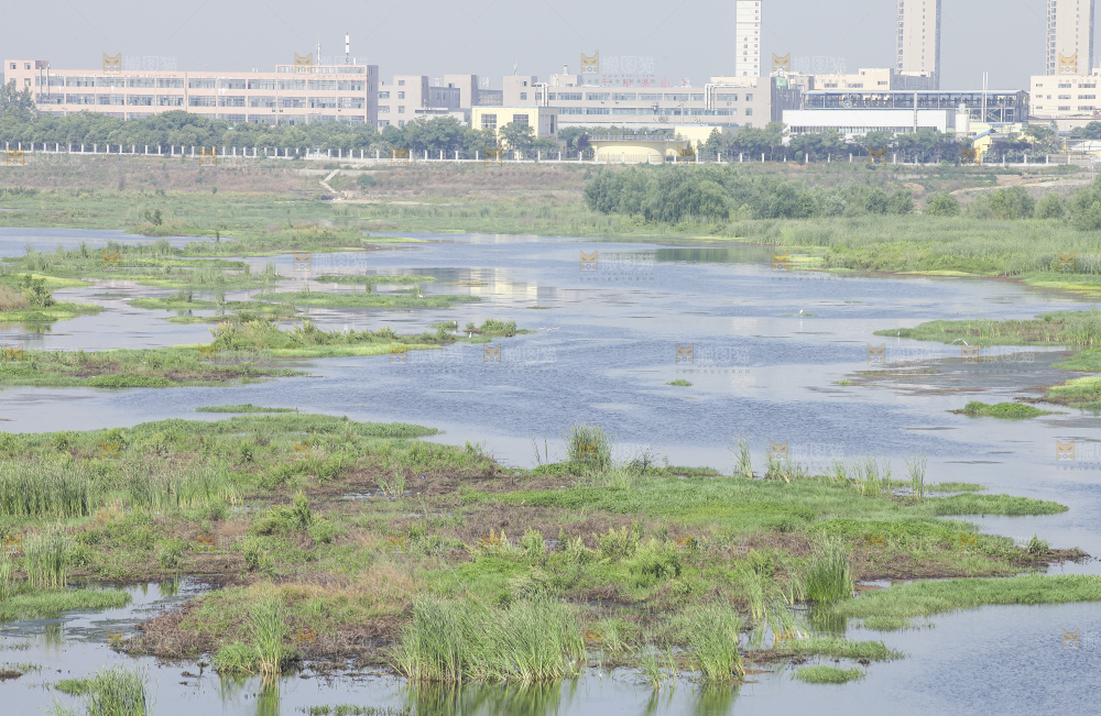 户外风景河水