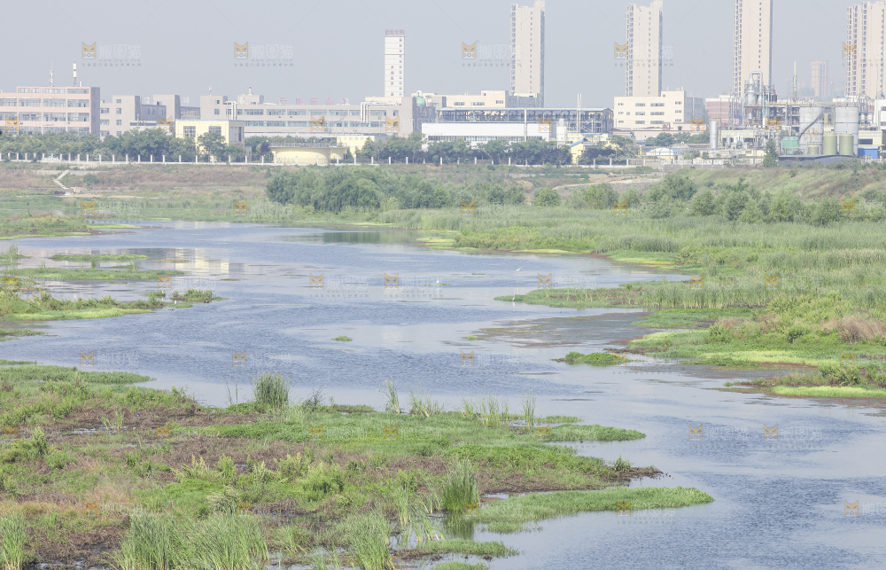 户外风景河水