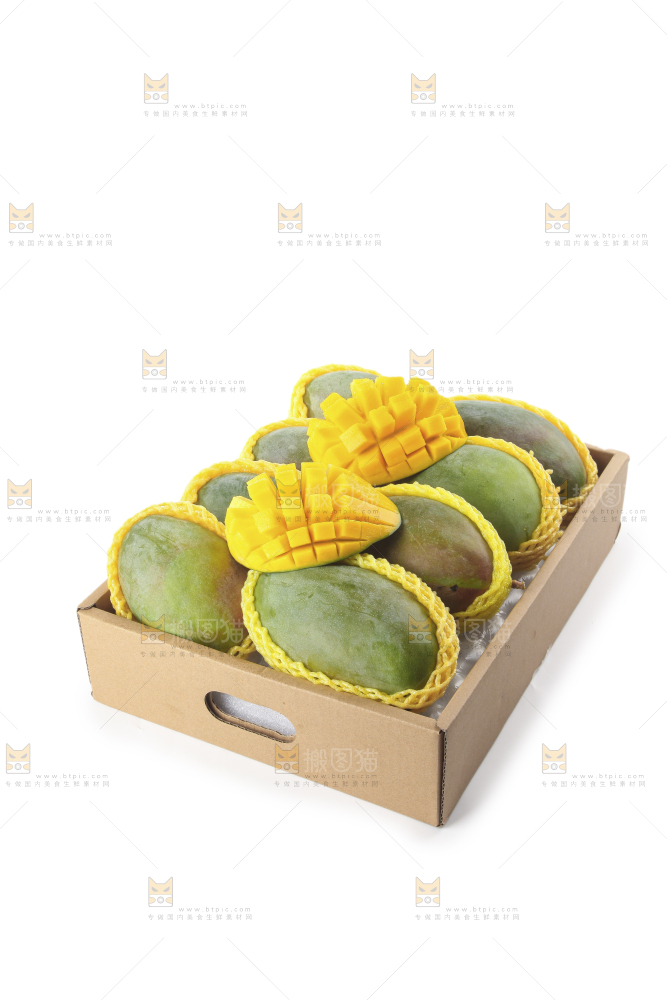 白底上的凯特芒