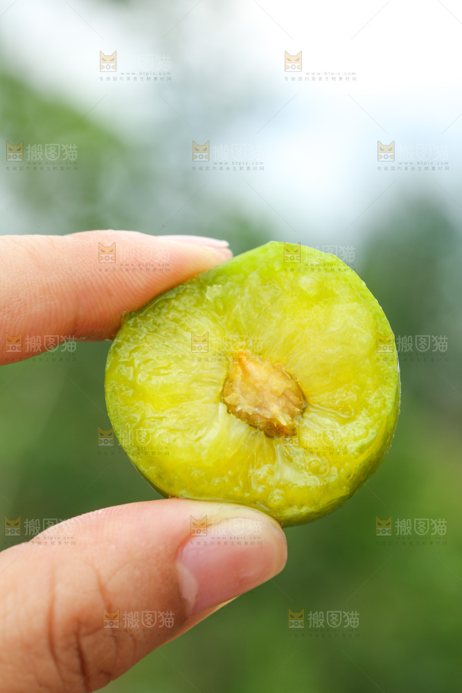手里拿着脱骨李
