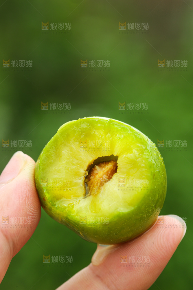 手里拿着脱骨李