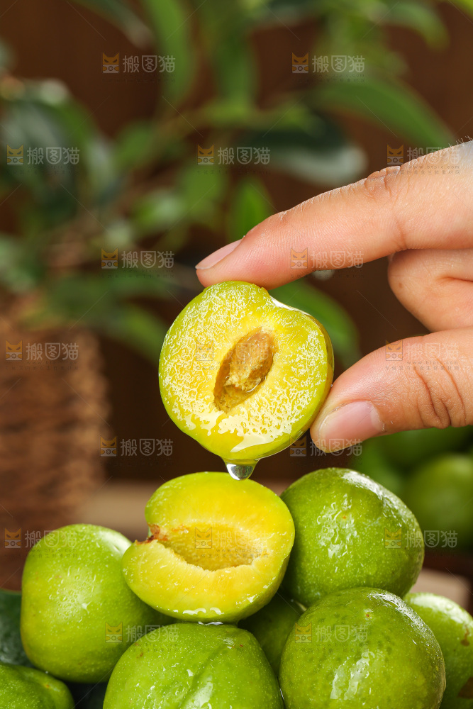 深底上放着的脱骨李