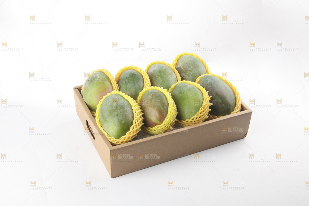 白底上的凯特芒