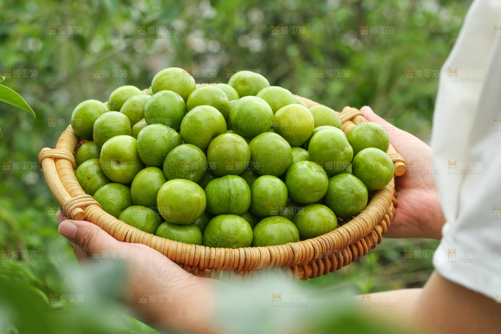 手里拿着脱骨李