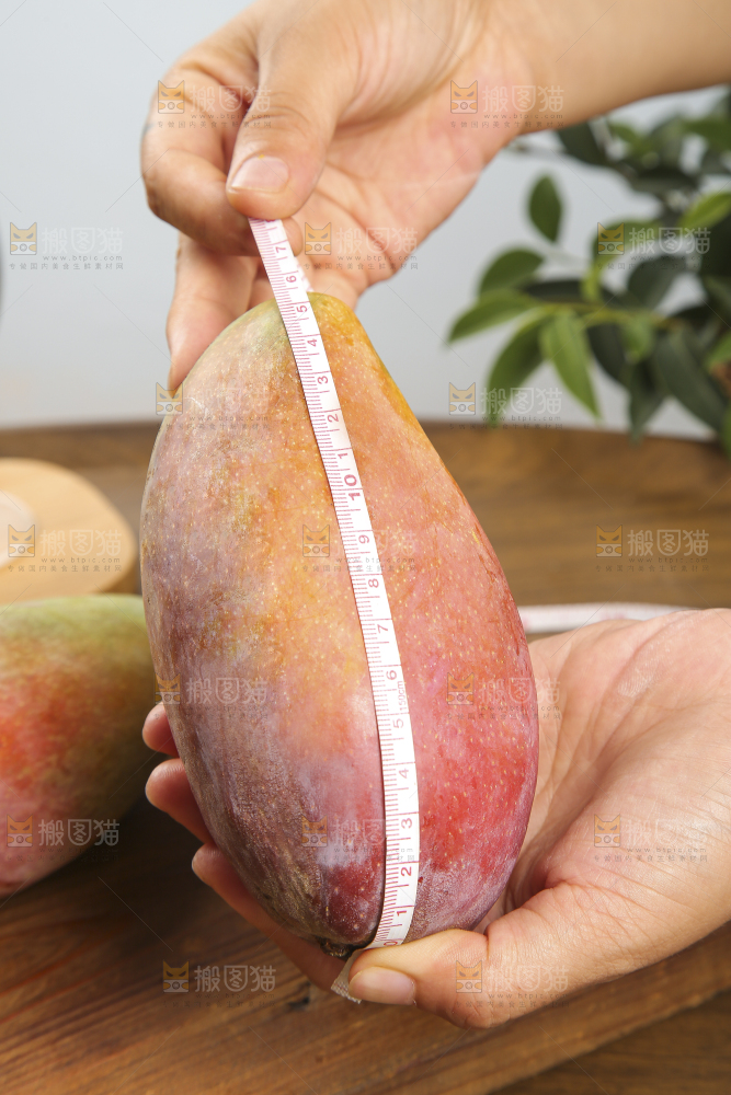 木底上放着的彩芒