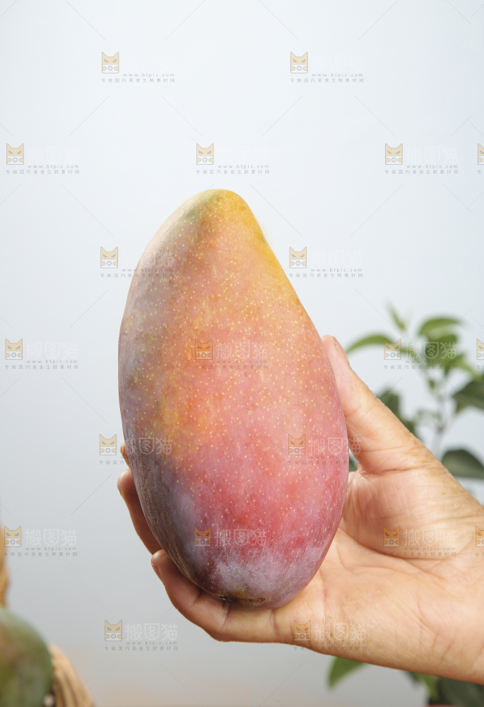木底上放着的彩芒
