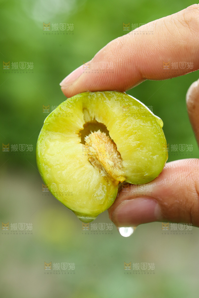 手里拿着脱骨李