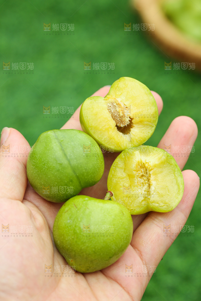 手里拿着脱骨李