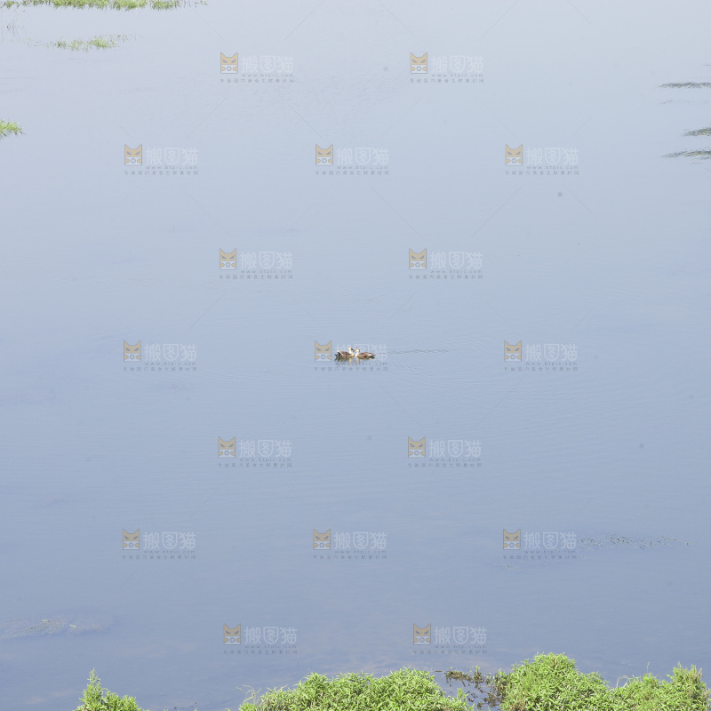清澈风底的湖水