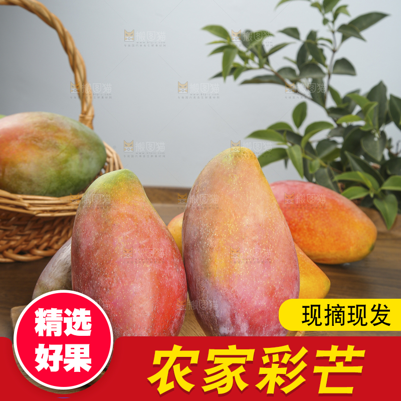 木底上放着的彩芒