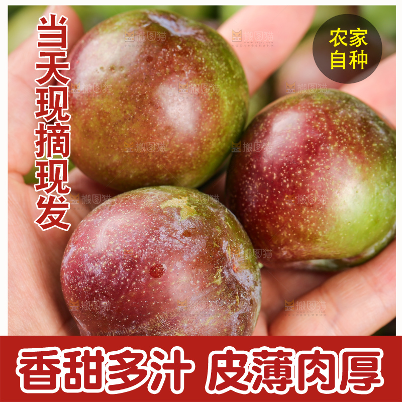 木底上的五月脆
