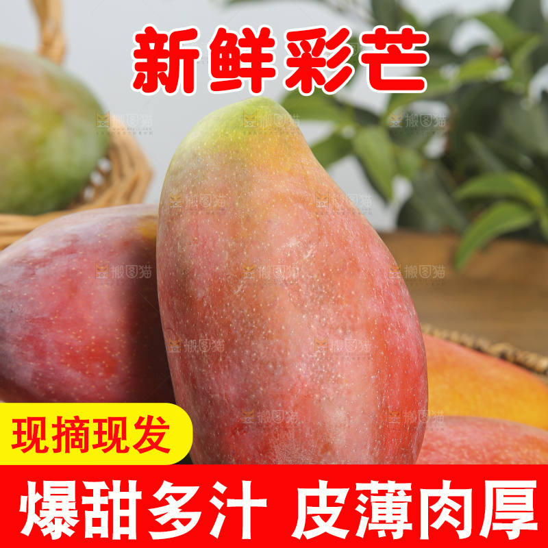 木底上放着的彩芒