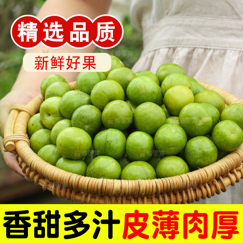 手里拿着脱骨李