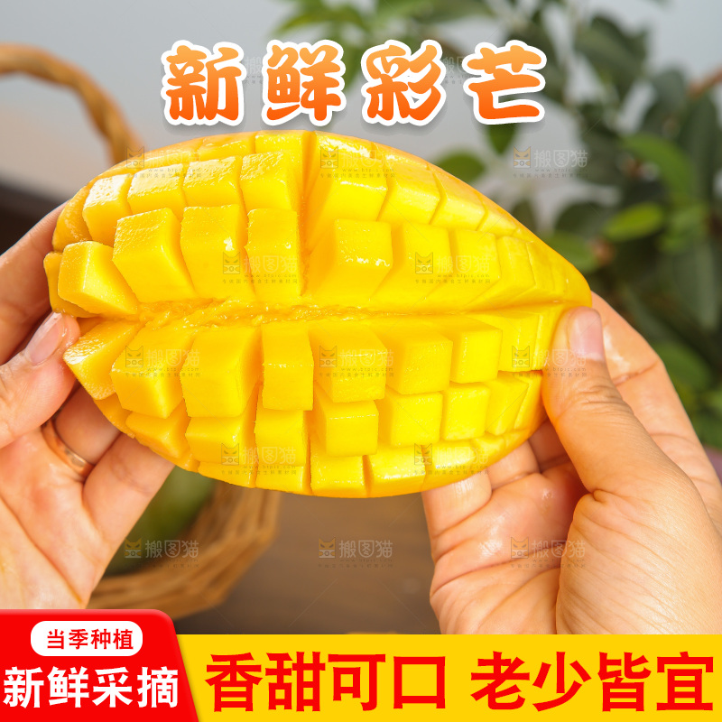 木底上放着的彩芒