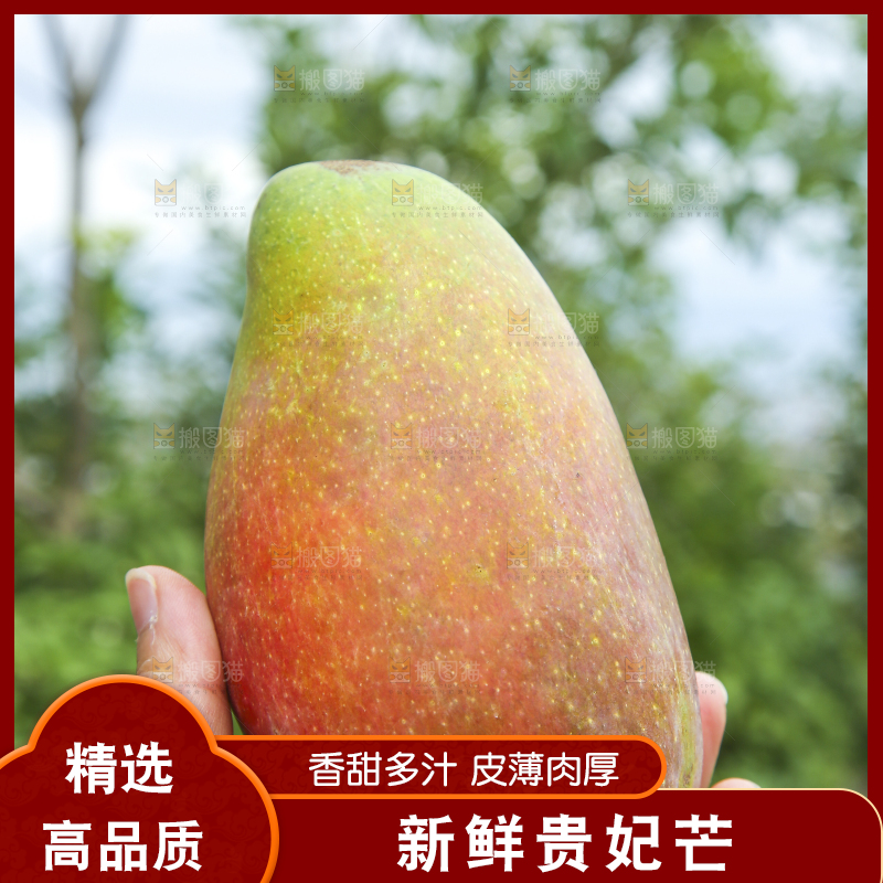 手里拿着贵妃芒