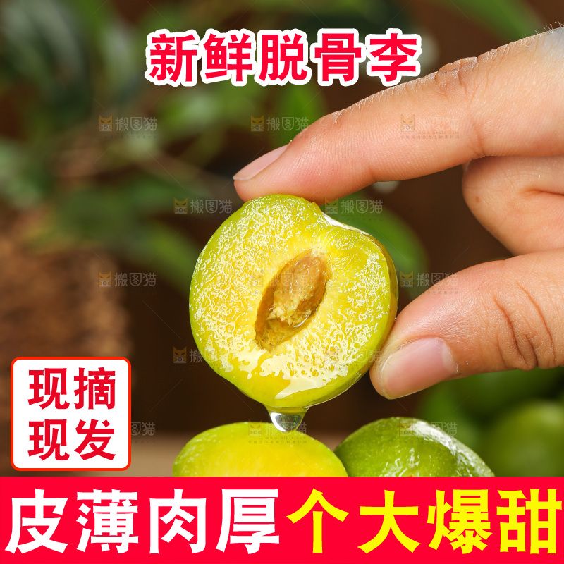 深底上放着的脱骨李