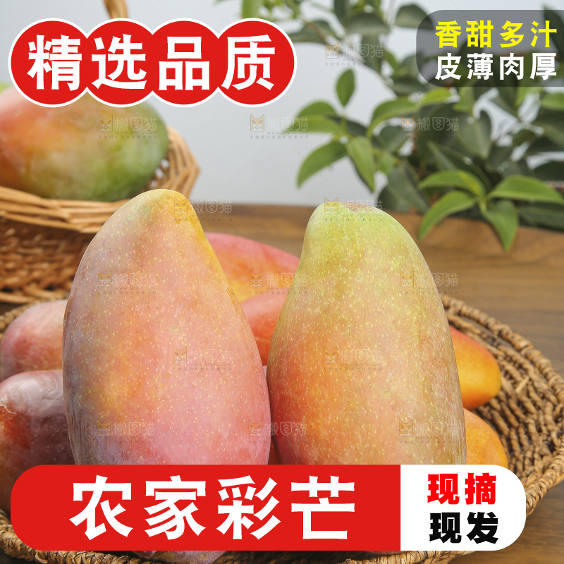 木底上放着的彩芒