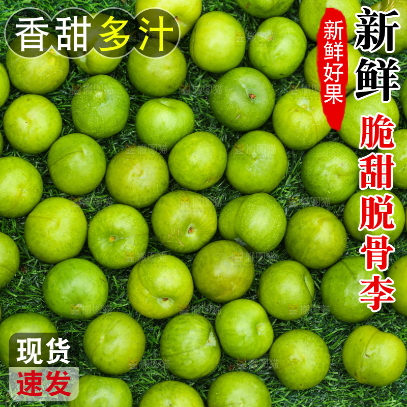 深底上放着的脱骨李