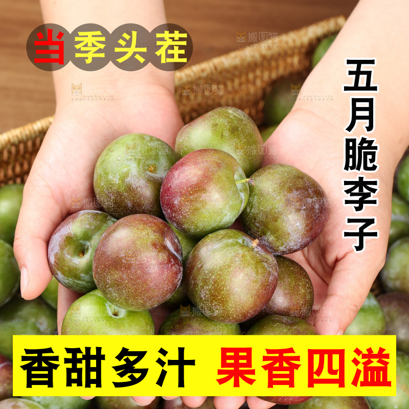 木底上的五月脆