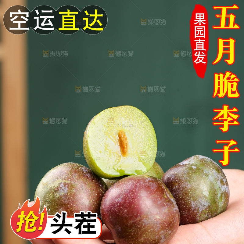 木底上的五月脆