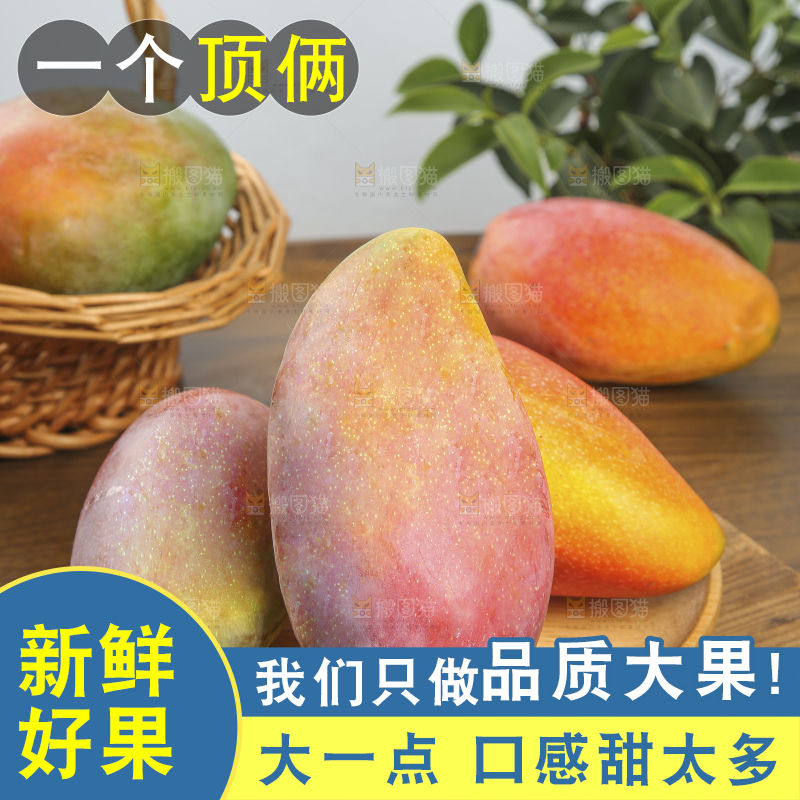木底上放着的彩芒