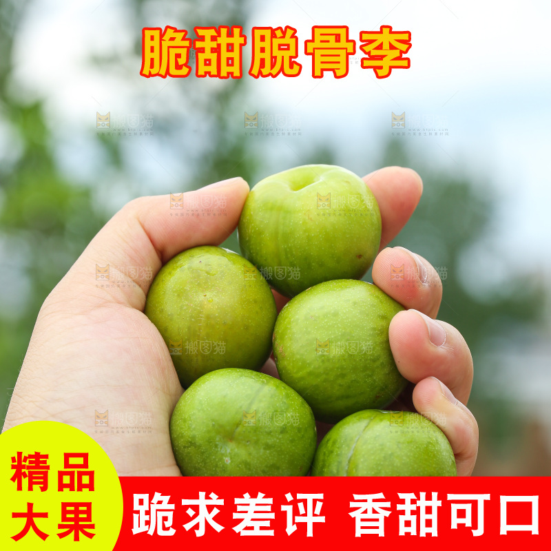 手里拿着脱骨李