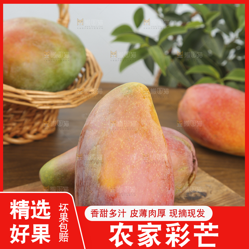 木底上放着的彩芒
