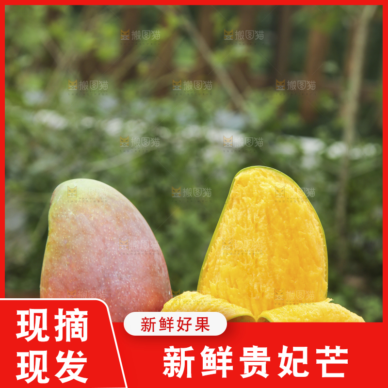 手里拿着贵妃芒