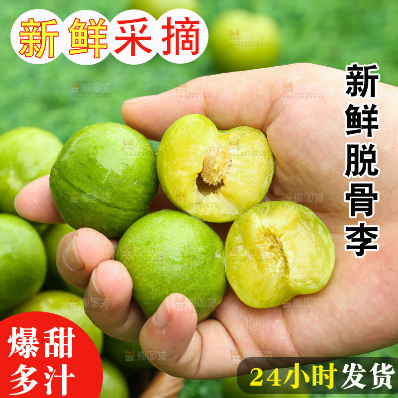 手里拿着脱骨李
