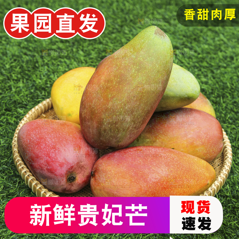 深底上的贵妃芒