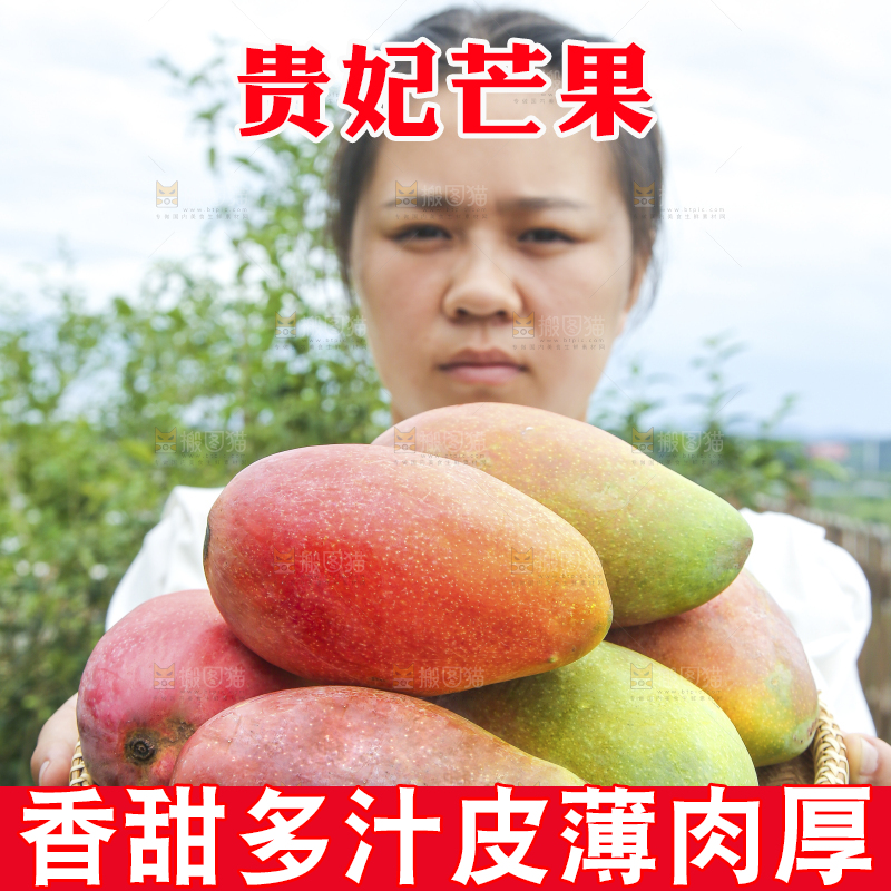 手里拿着贵妃芒