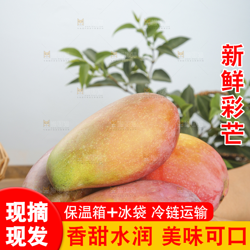 木底上放着的彩芒