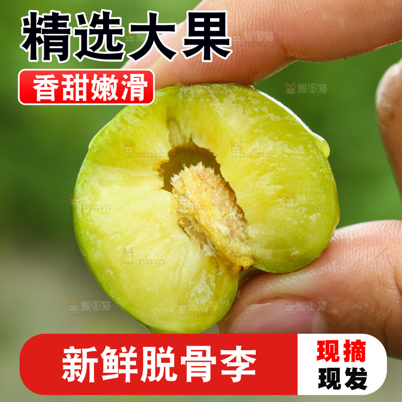脱骨李主图