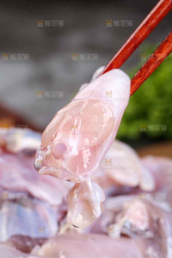 深底上的新鲜牛蛙