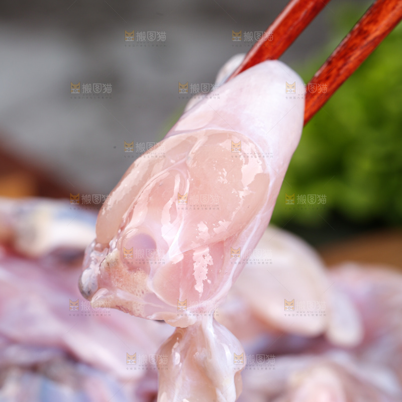 深底上的新鲜牛蛙