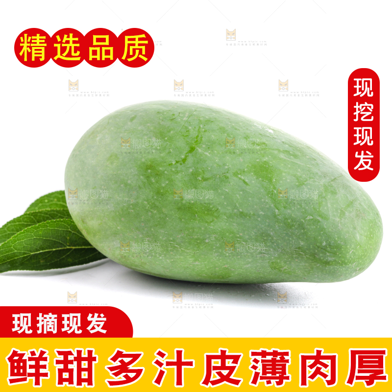 白底上的象牙芒