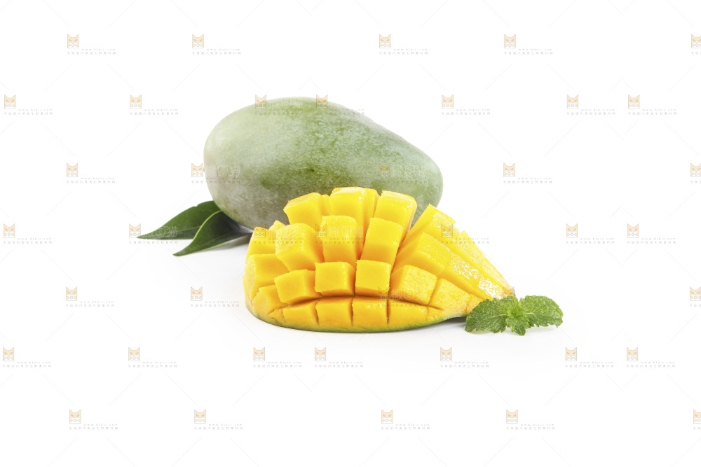 白底上的凯特芒