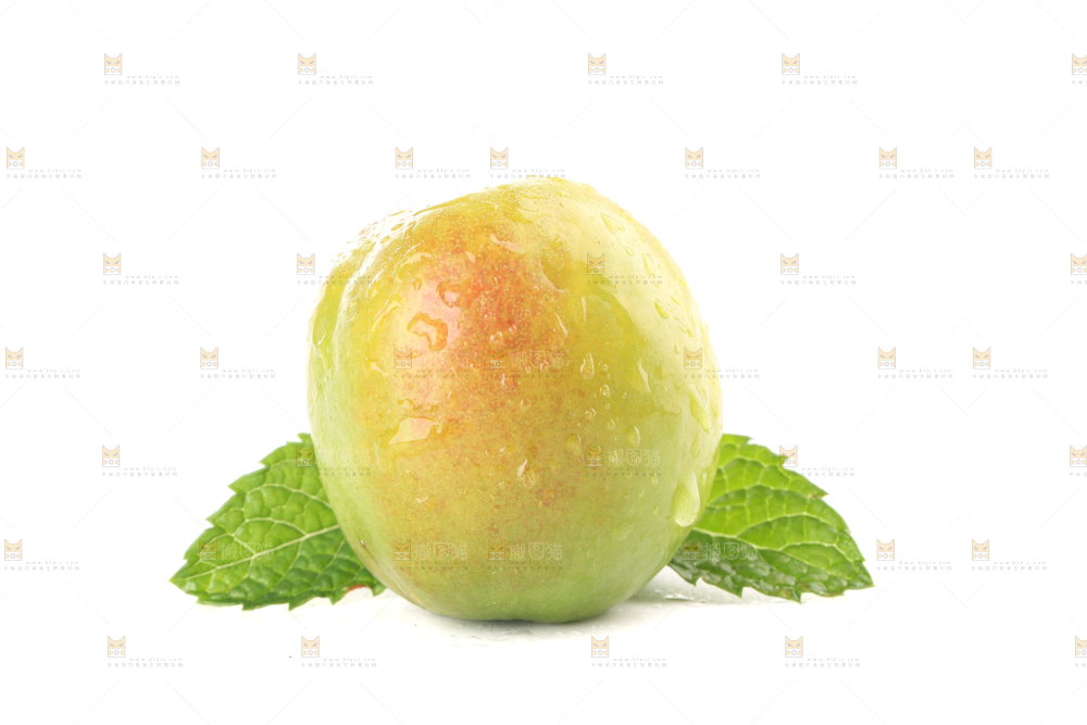 白底上的大梨杏