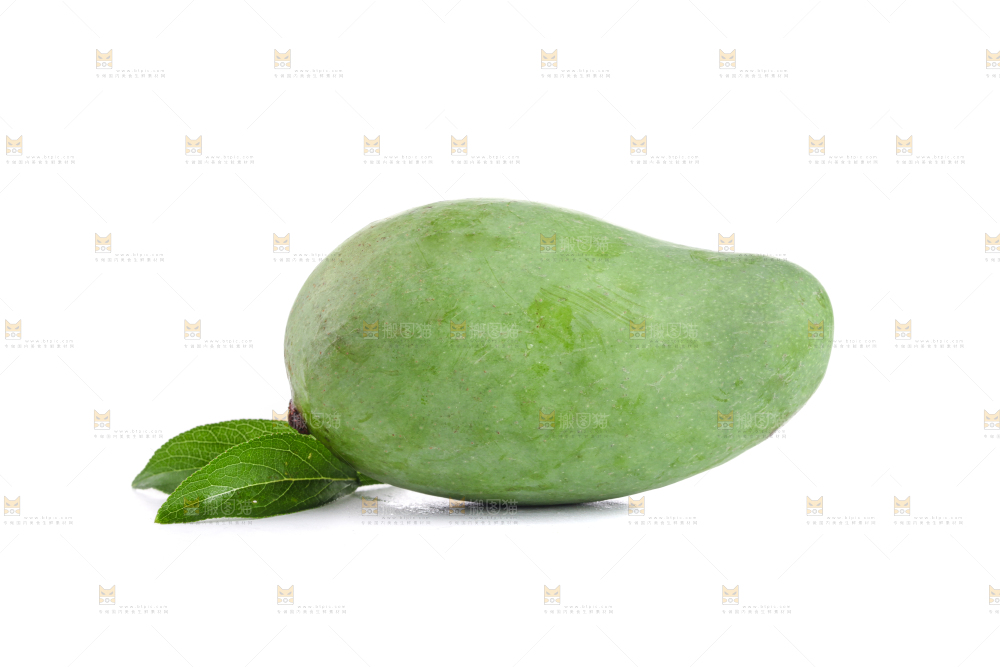 白底上的象牙芒